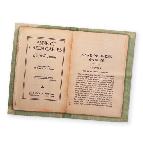 Anne of Green Gables | Eyeglass Cleaning Cloth
