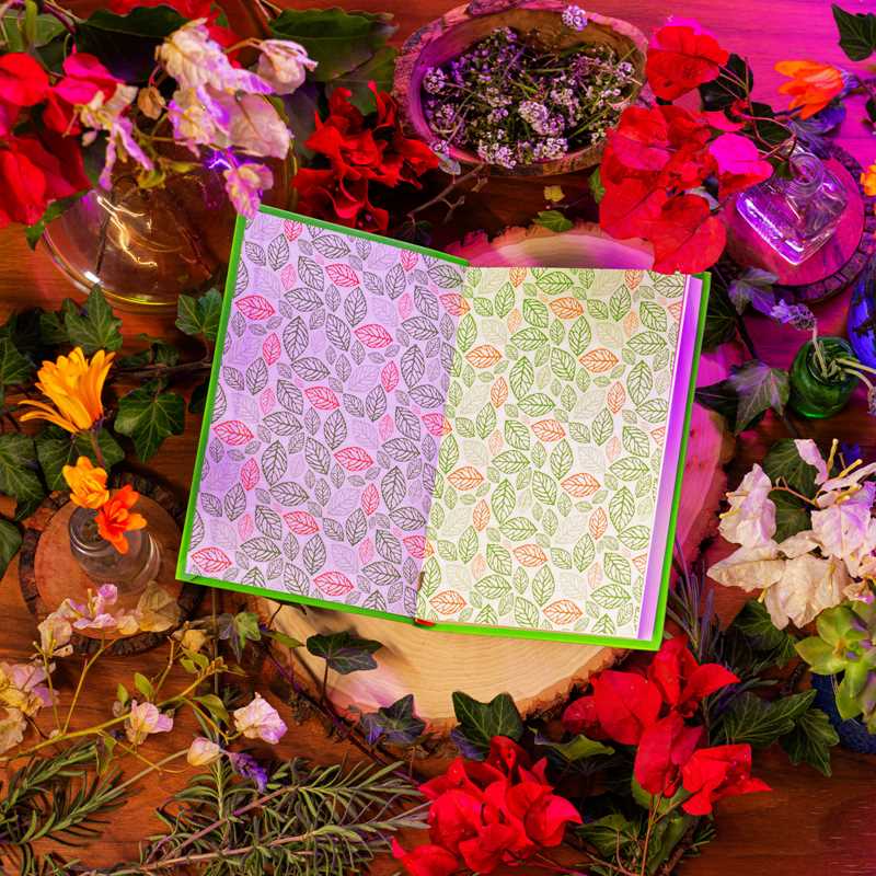 The Secret Garden | Frances Hodgson Burnett