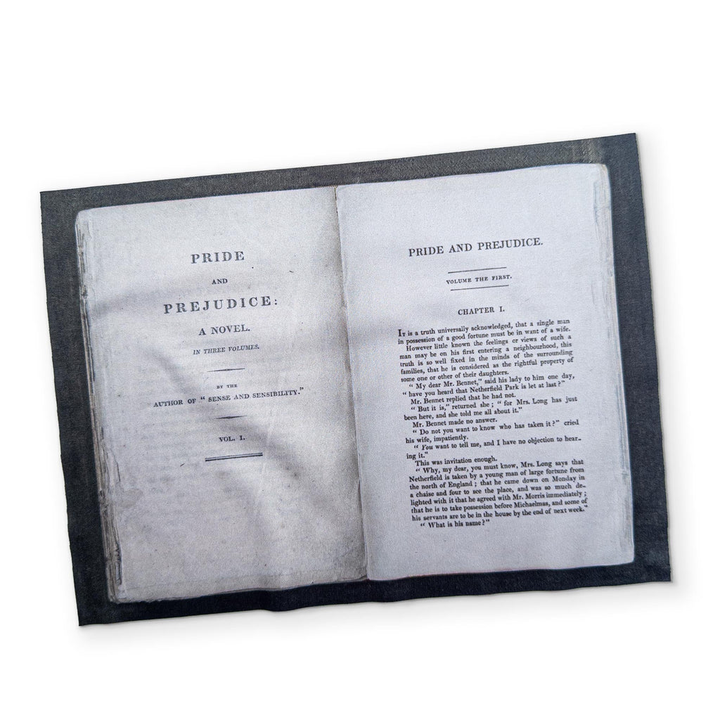 Pride & Prejudice | Eyeglass Cleaning Cloth