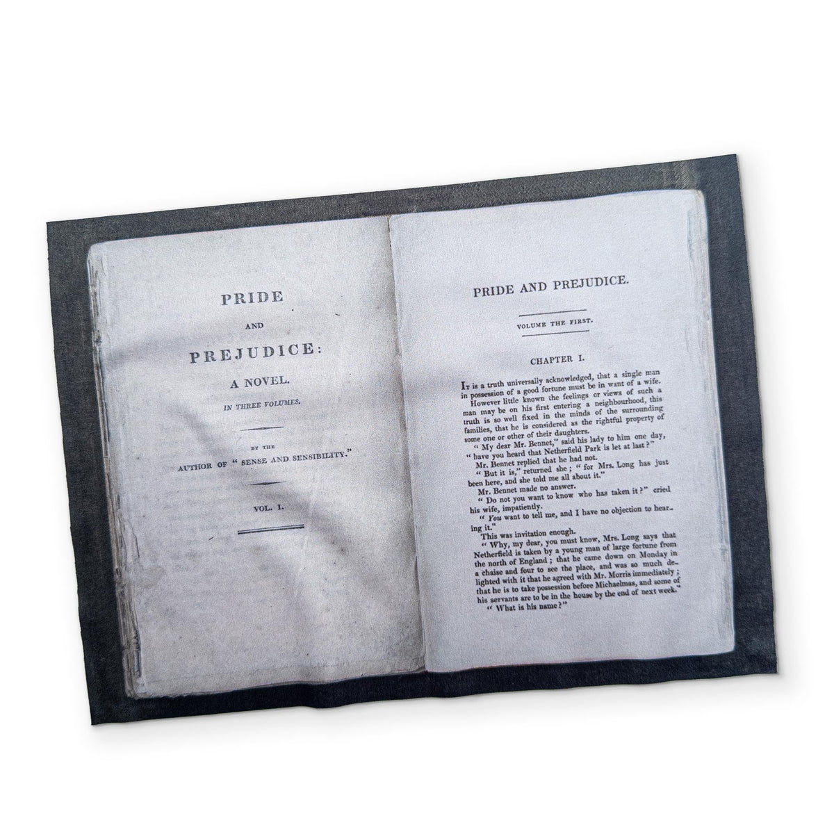 Pride & Prejudice | Eyeglass Cleaning Cloth