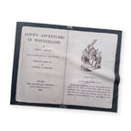 Alice in Wonderland | Eyeglass Cleaning Cloth